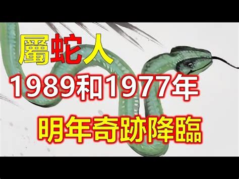 1989年五行